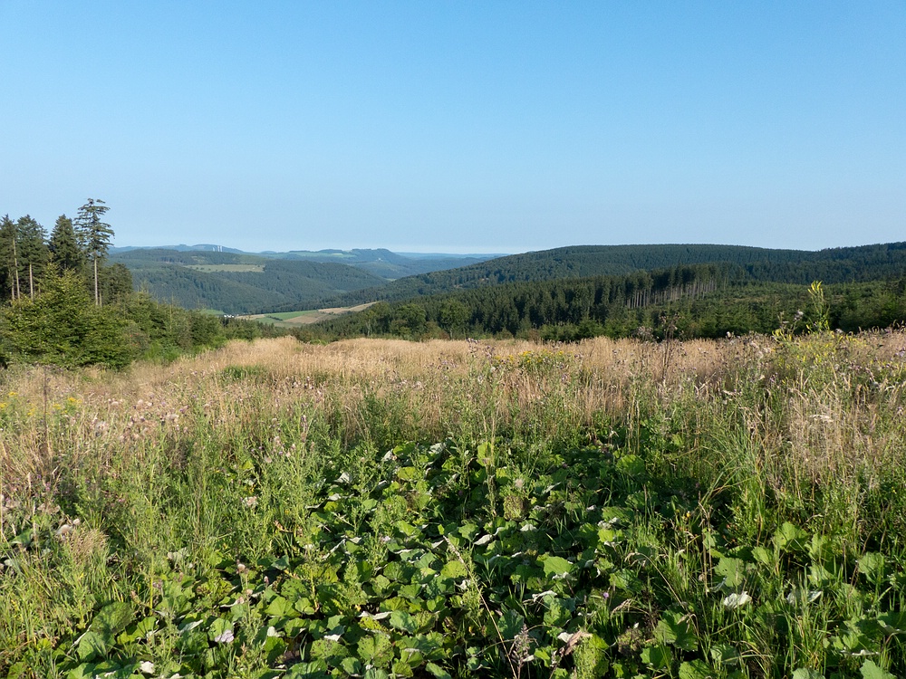 Ausblick von der Hochheidehütte