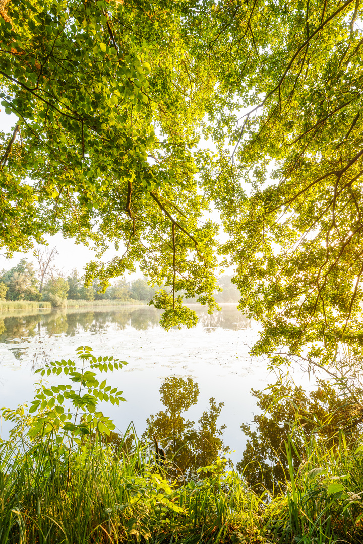 Ausblick von der Insel Sauerwerder