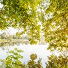 Ausblick von der Insel Sauerwerder