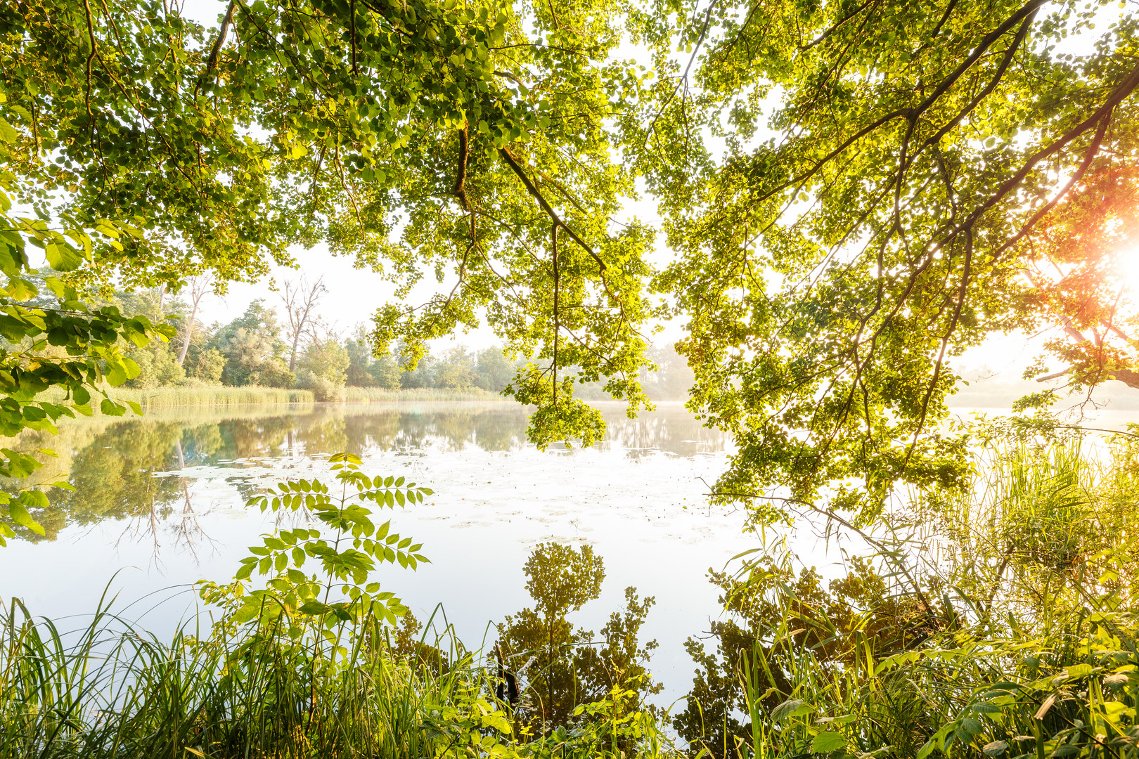 Ausblick von der Insel Sauerwerder