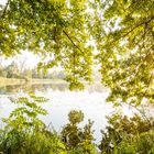 Ausblick von der Insel Sauerwerder