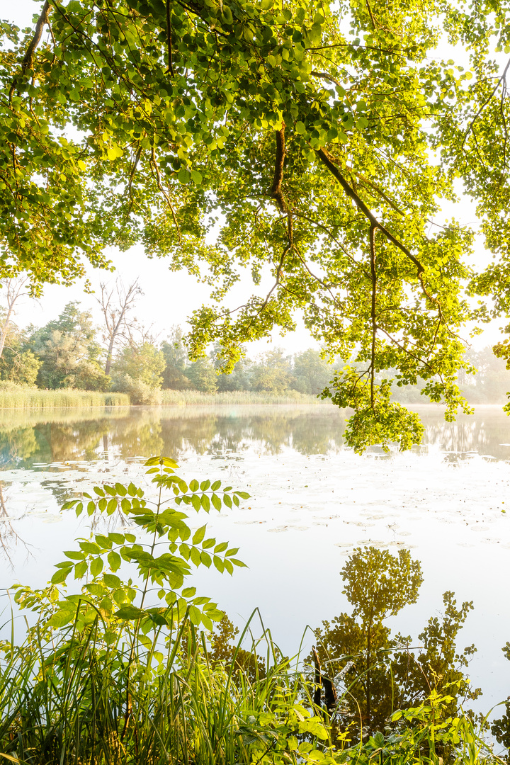 Ausblick von der Insel Sauerwerder