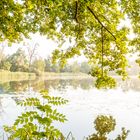 Ausblick von der Insel Sauerwerder