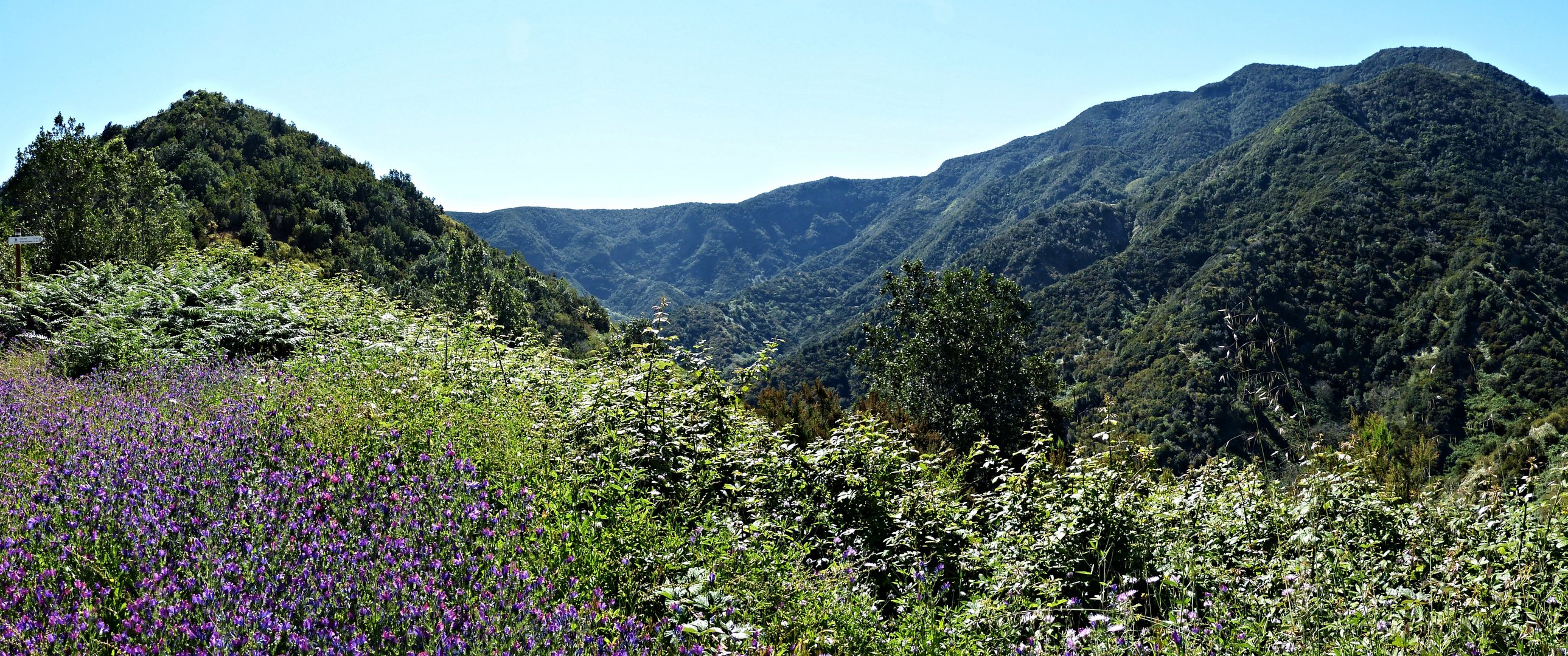 Ausblick von der Pista forestal La Meseta - La Gomera