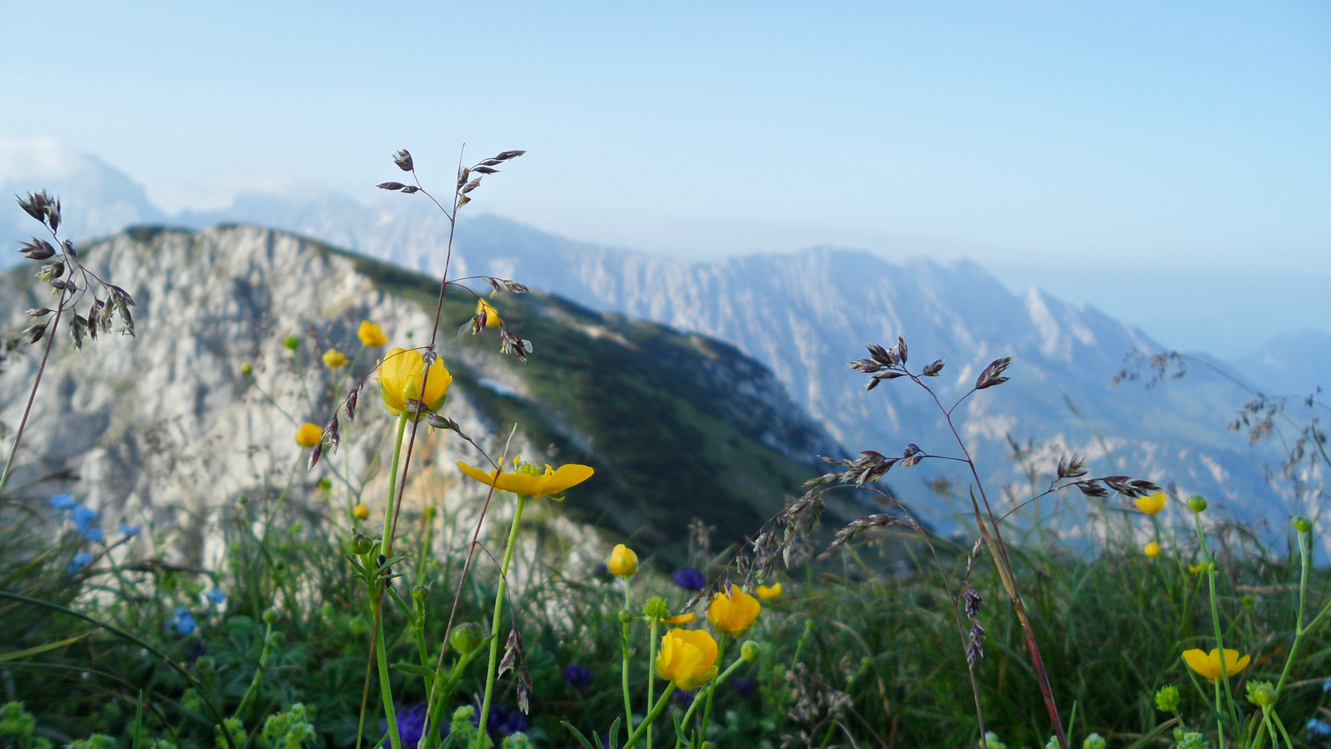 Ausblick von der Pyramidenspitze (Zahmer Kaiser)