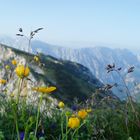 Ausblick von der Pyramidenspitze (Zahmer Kaiser)