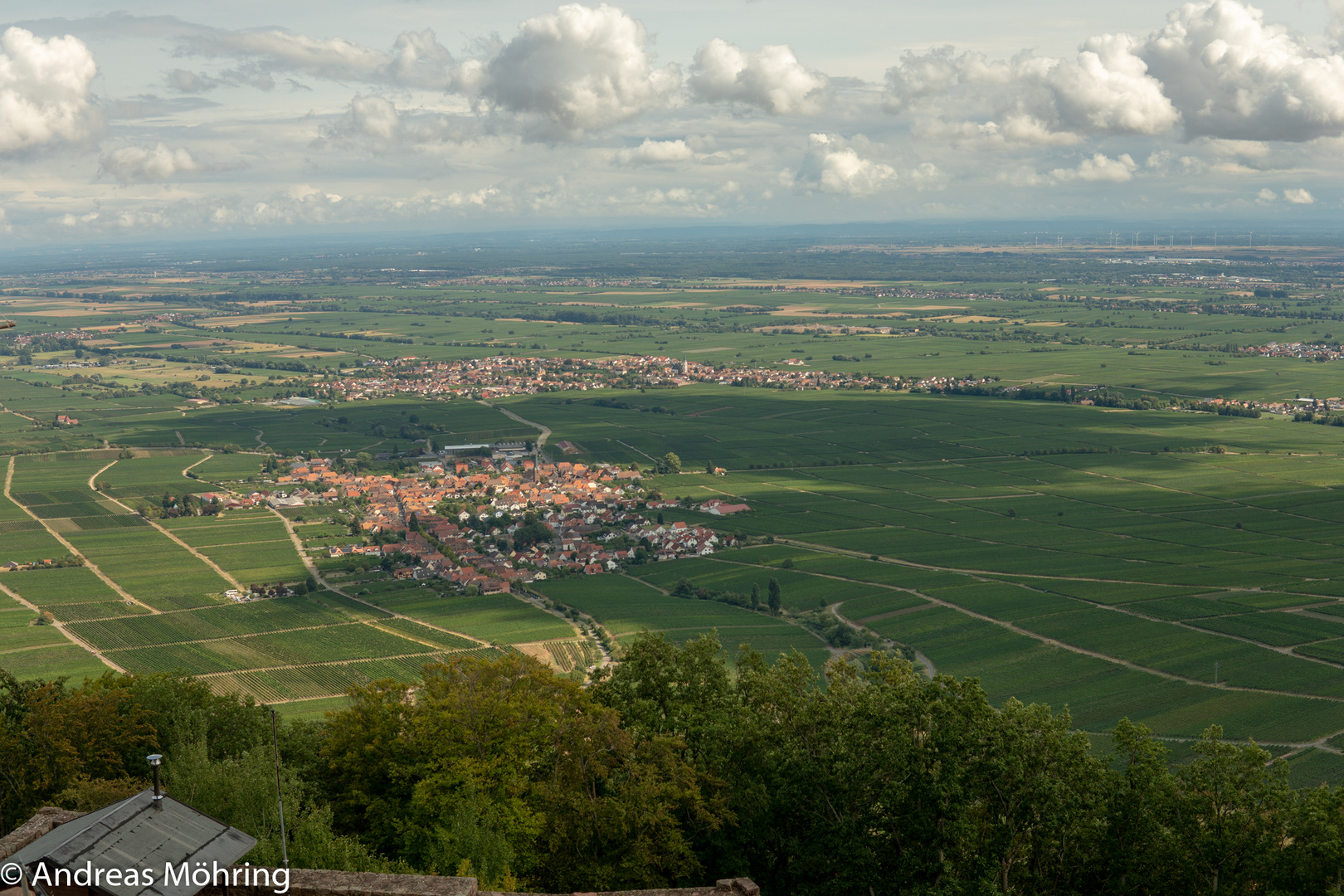 Ausblick von der Rietburg