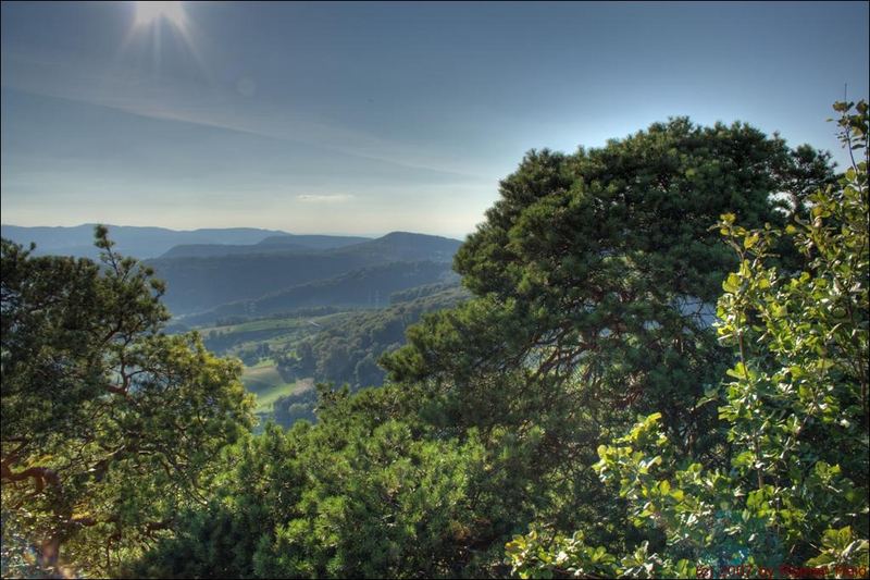 Ausblick von der Ruine Bischofsstein