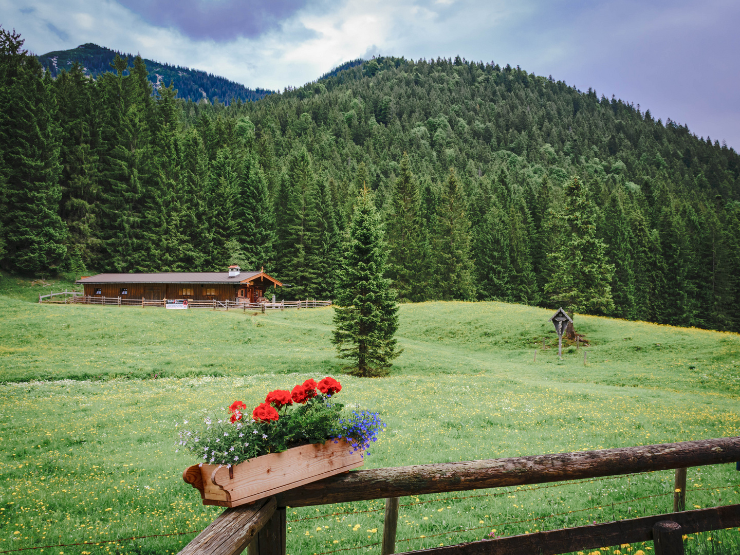 Ausblick von der Schwarzentenn-Alm, Kreuth