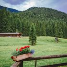 Ausblick von der Schwarzentenn-Alm, Kreuth