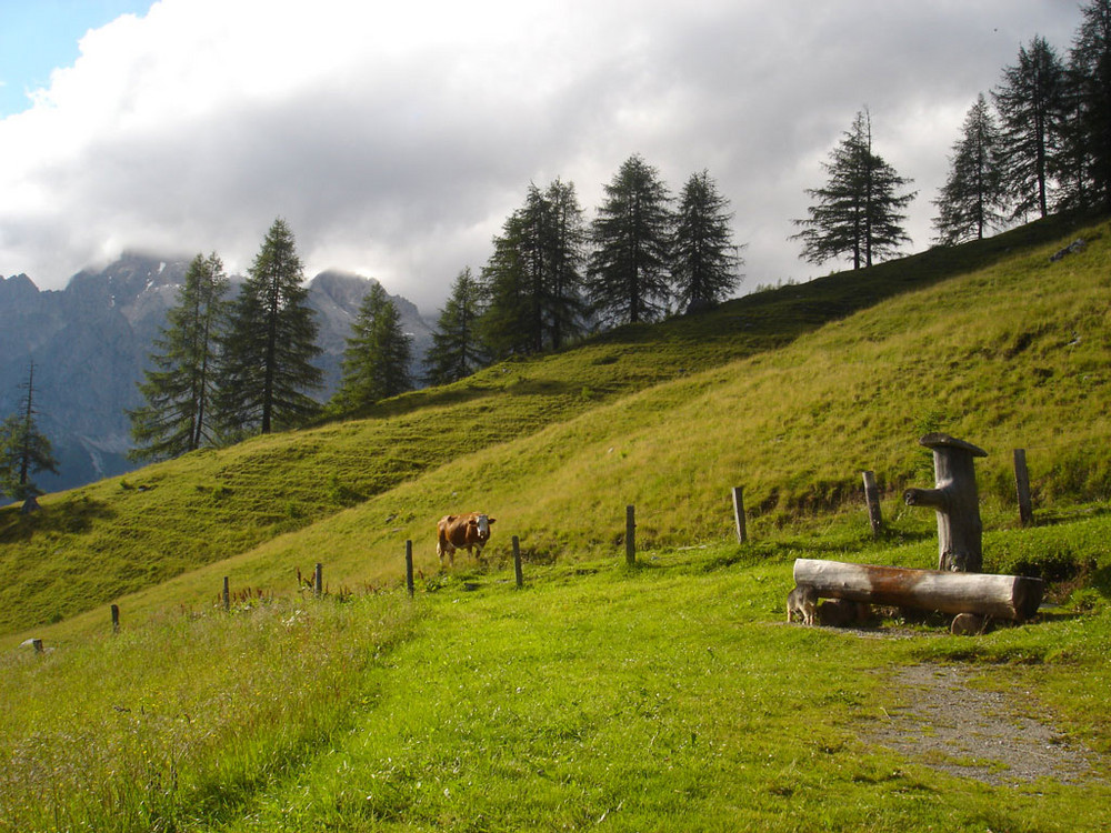 Ausblick von der Sulzenalm in Filzmoos (Salzburg, AT)