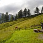 Ausblick von der Sulzenalm in Filzmoos (Salzburg, AT)