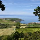 Ausblick von der Teeplantage Porto Formoso