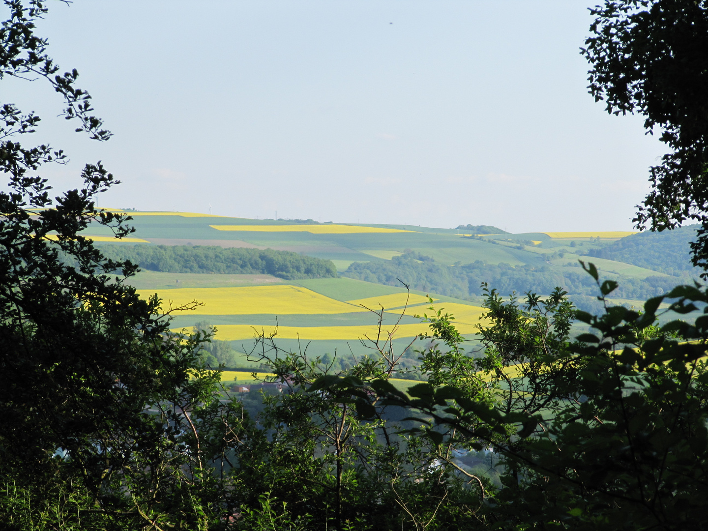 Ausblick von Disibod