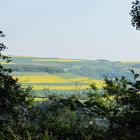 Ausblick von Disibod