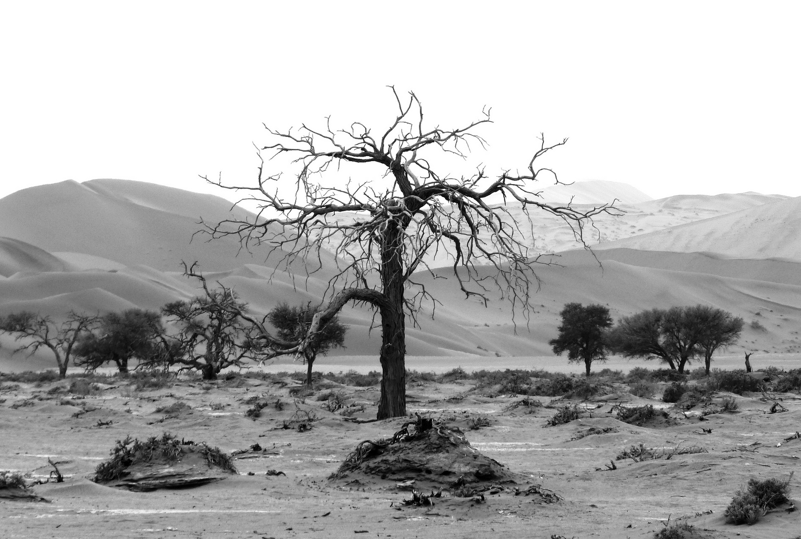 Ausblick von Düne 45 - Namib