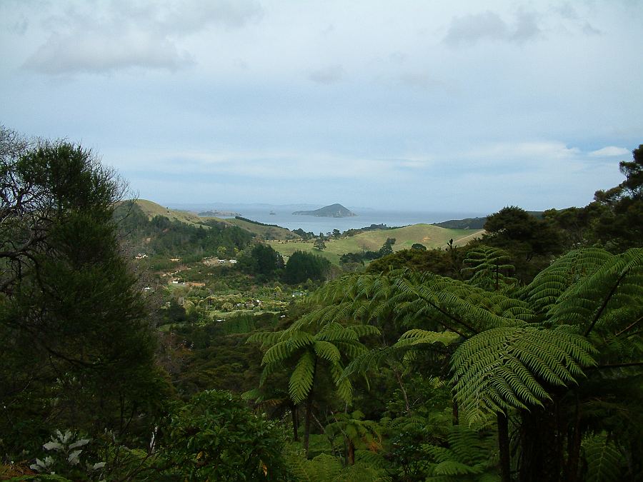 Ausblick von einer Station der Driving Creek Railway