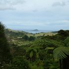 Ausblick von einer Station der Driving Creek Railway