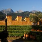 Ausblick von Hohenschwangau