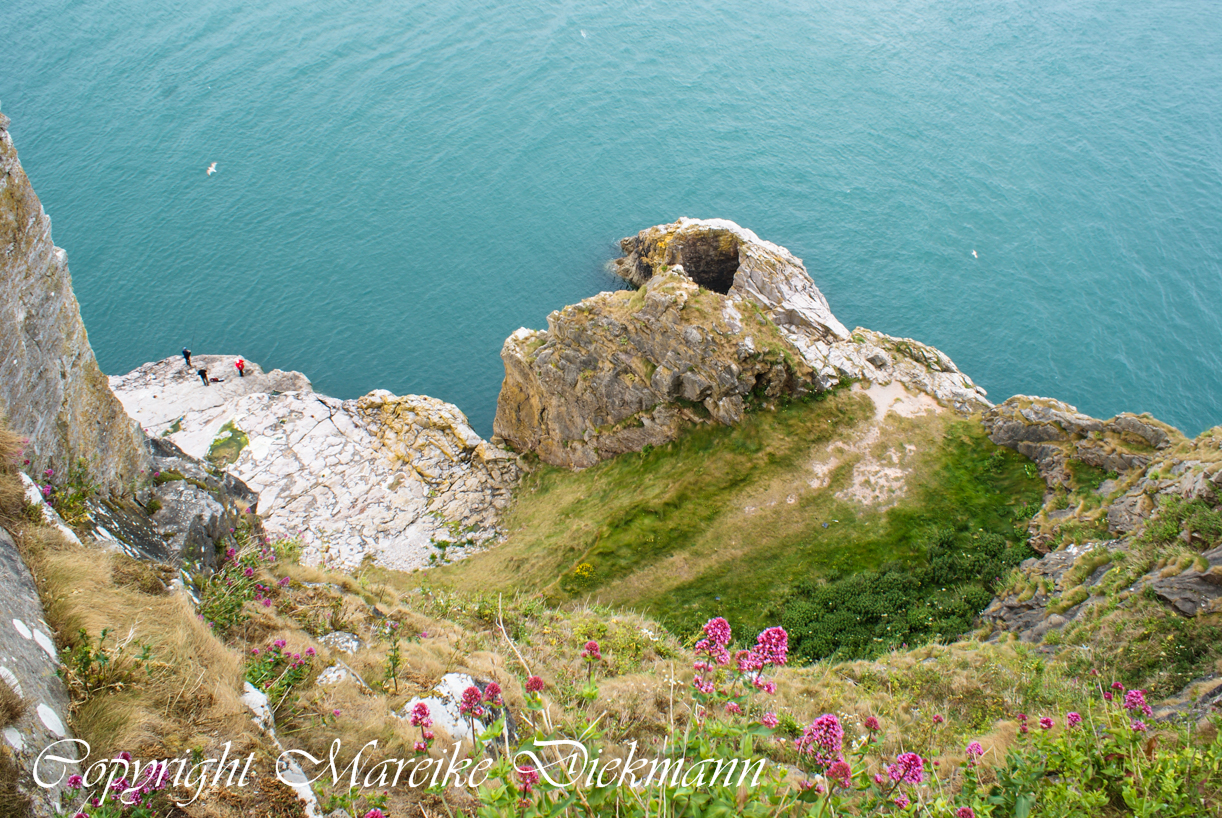 Ausblick von Klippen bei Brixham (Südengland)