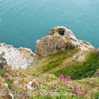 Ausblick von Klippen bei Brixham (Südengland)