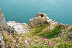 Ausblick von Klippen bei Brixham (Südengland)