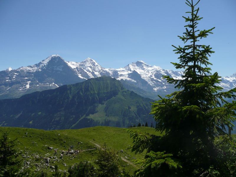 Ausblick von Schynige Platte (CH)