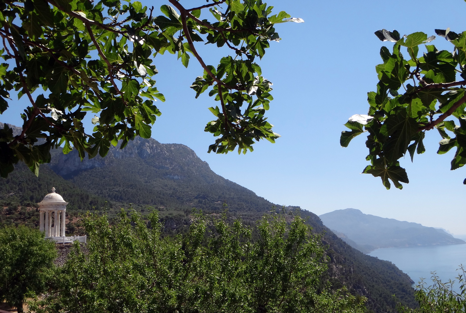 Ausblick von Son Marroig