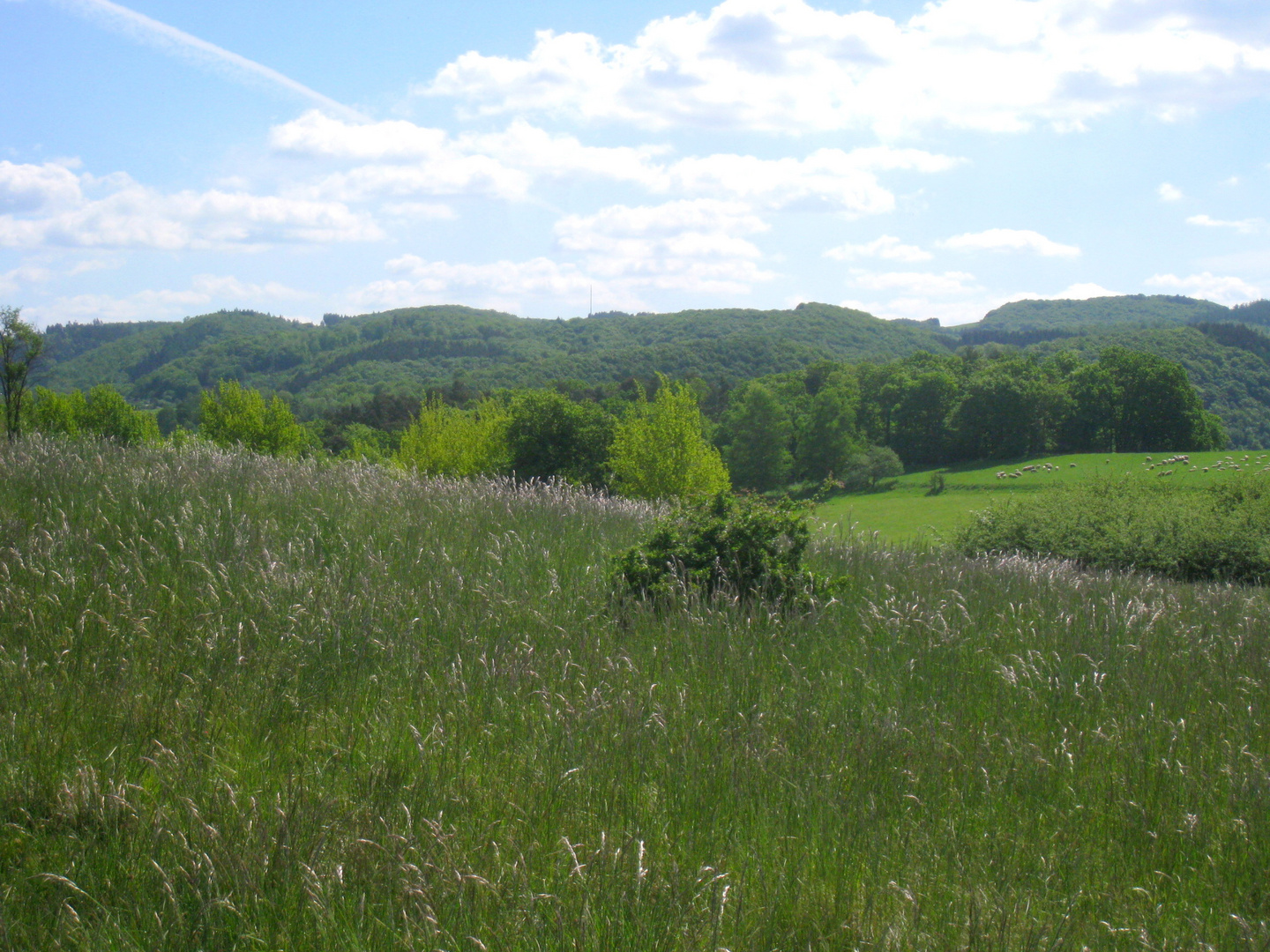 Ausblick vonm NSG Kupferberg (Teil 3)