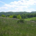 Ausblick vonm NSG Kupferberg (Teil 3)