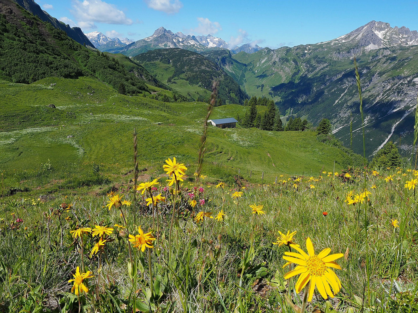 Ausblick zu den Lechtaler Alpen
