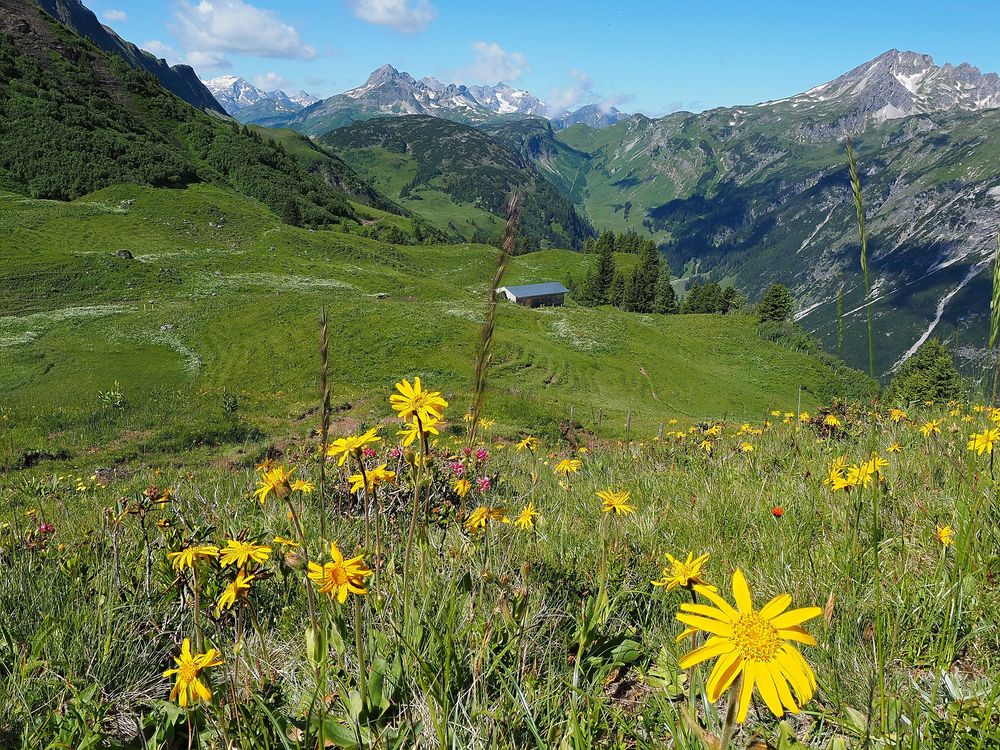 Ausblick zu den Lechtaler Alpen