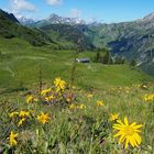 Ausblick zu den Lechtaler Alpen