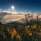 Ausblick zum Fuschlsee