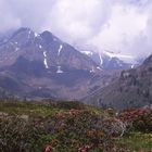 Ausblick zum Ortler