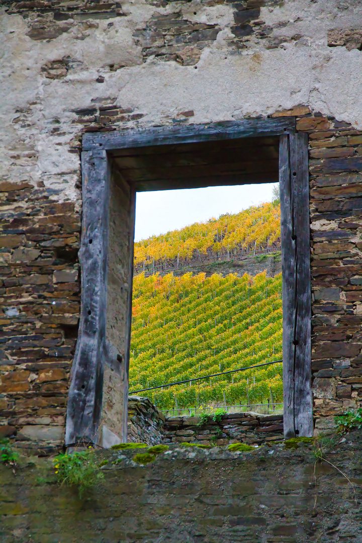 Ausblick zum Weinberg