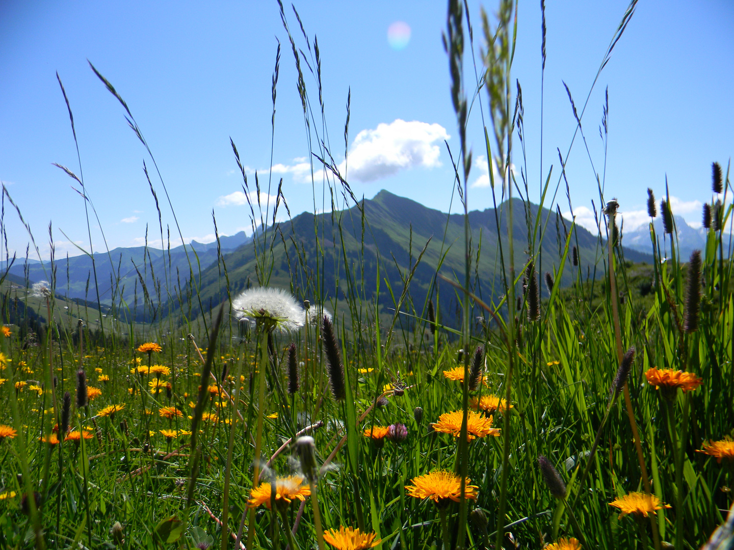 Ausblick zum Zafernhorn