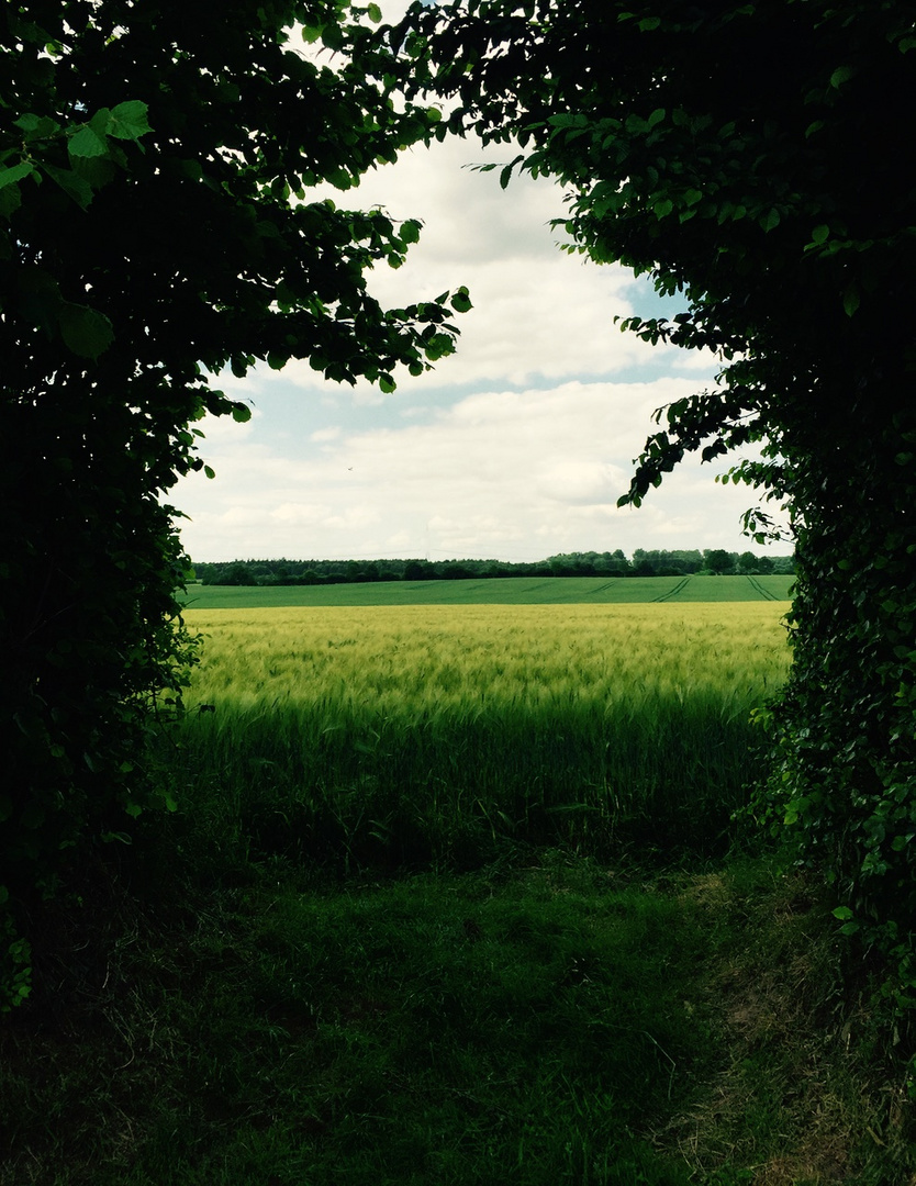 Ausblicke am Wegesrand