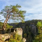 Ausblicke Burg Hohnstein (02)