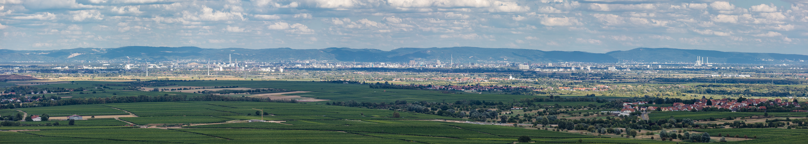 Ausblicke in die Rheinebene