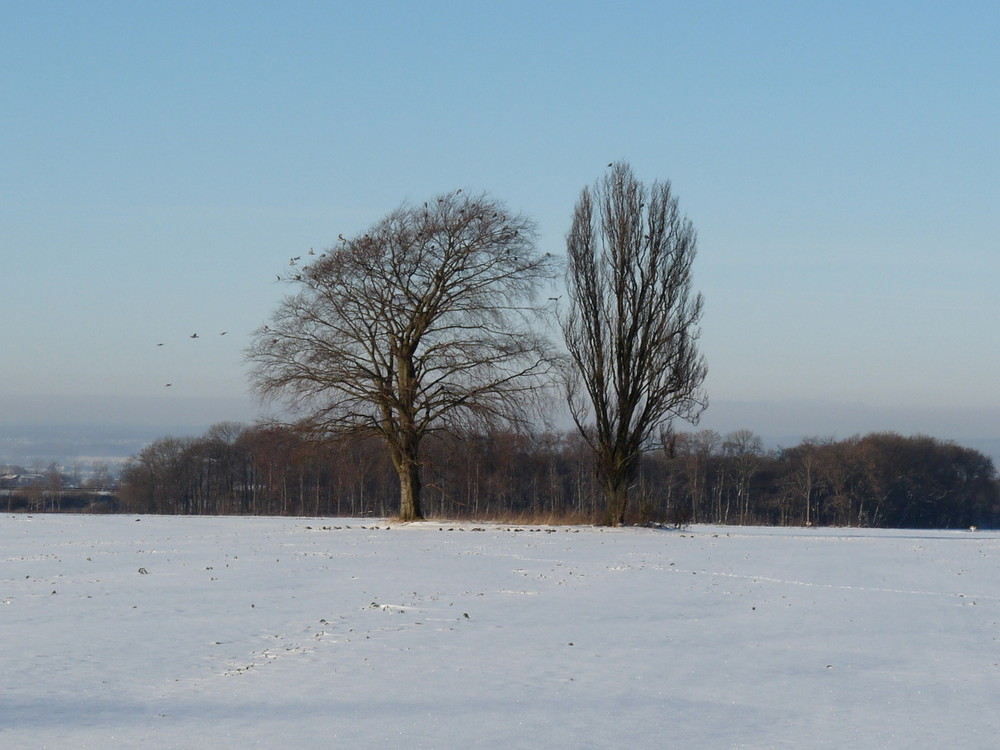 AUSBLICK.Panasonic FZ28