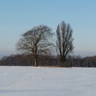 AUSBLICK.Panasonic FZ28