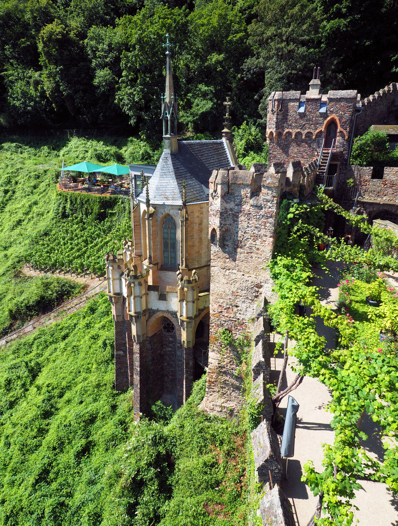 Ausblick....von Burg Rheinstein 