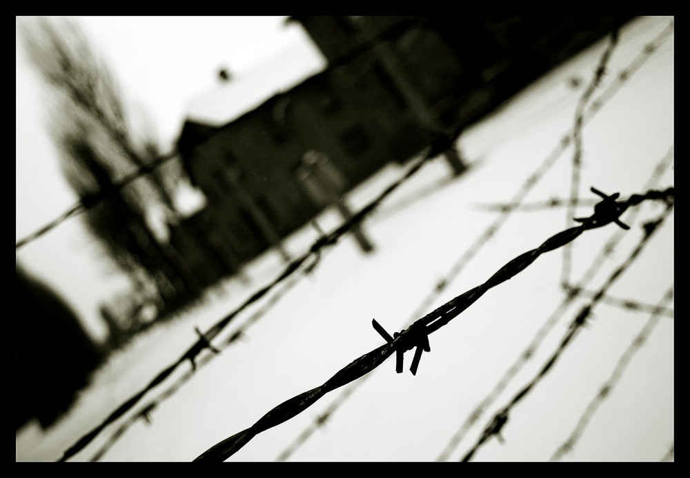 Auschwitz 02