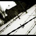 Auschwitz 02