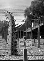 Auschwitz 02