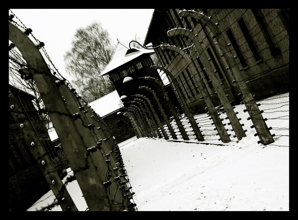 Auschwitz 04