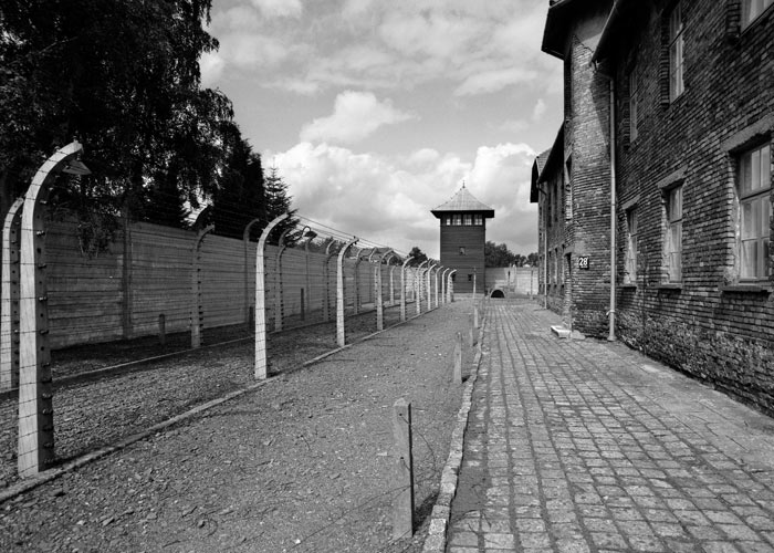 Auschwitz 12