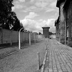 Auschwitz 12