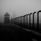 Auschwitz